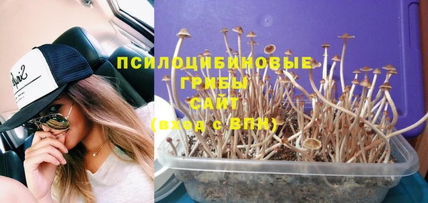 дживик Арсеньев