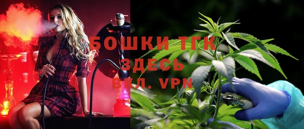 дживик Арсеньев