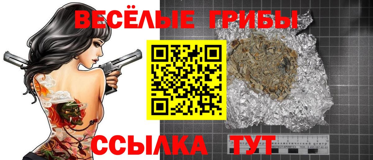 Псилоцибиновые грибы GOLDEN TEACHER Саров