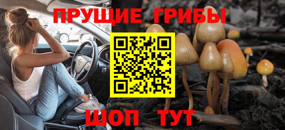 Галлюциногенные грибы MAGIC MUSHROOMS  Галлюциногенные грибы GOLDEN TEACHER  Саров  Вход с VPN 