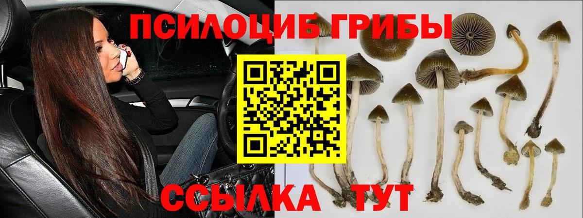 ГАШ  Конопля  Cocaine  Саров  Меф МЯУ МЯУ кристаллы  Кодеин  Вход с VPN  Экстази 
